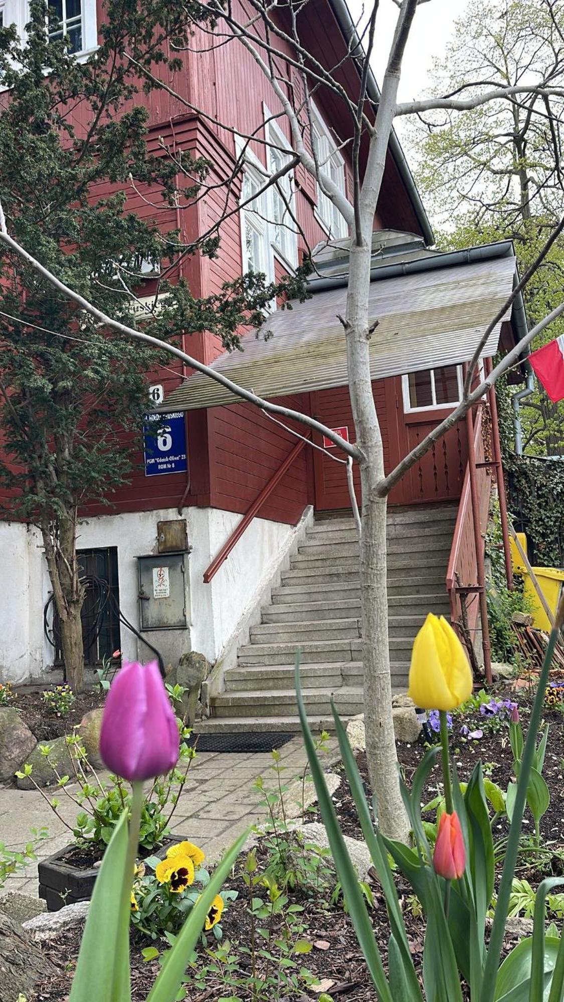 Villa Rekin Gdańsk Exterior foto